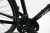 castor24.1.webp