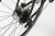 castor24.3.webp