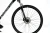 castor24.4.webp