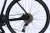 castor24.6.webp