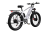 rear_duotts-f26_pedal-assist-ebike_silvery-white.jpg