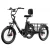 elektryczny-trycykl-towarowy-onesport-ot30-pro-silnik-500w-czarny (3).webp