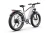 A6_a47dec63-e378-45d7-a4aa-45a7bef004de.webp