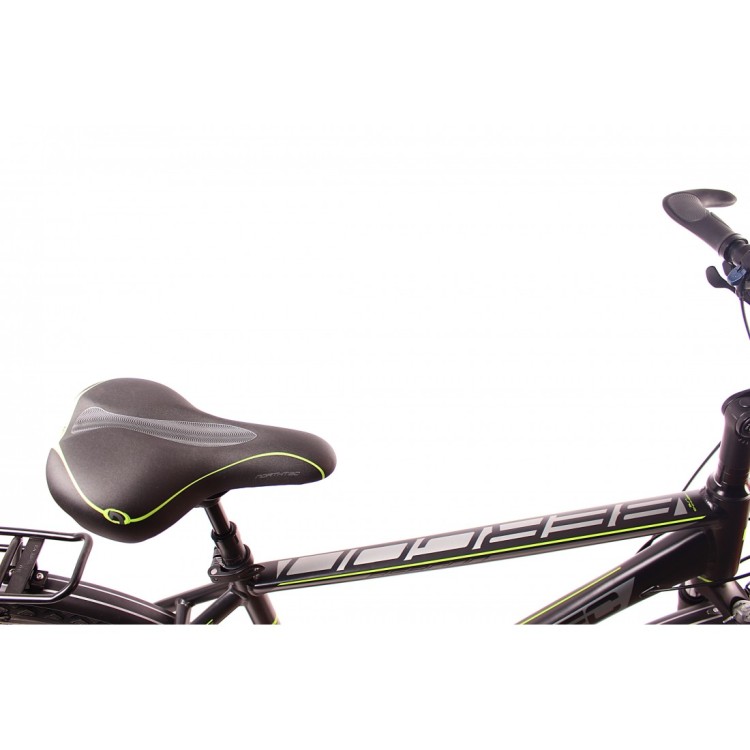 bergon-db-xt (7).jpg