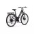 rower-elektryczny-onesport-ot12-urban-250-w-z-akumulatorem-36-v-13-ah (1).jpg