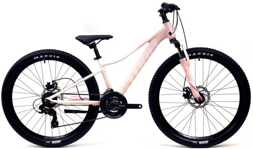 storm shark lady.jpg