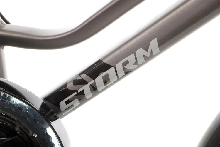 rower-trekkingowy-storm-marathon-6-0-lady-zloto-grafitowy (6).jpg