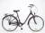 Miejski-rower-damski-STORM-Paris-3S-AMT-w-kolorze-ciemnego-rozu-z-obnizona-rama,-amortyzacja-i-napedem-Shimano-Nexus.webp
